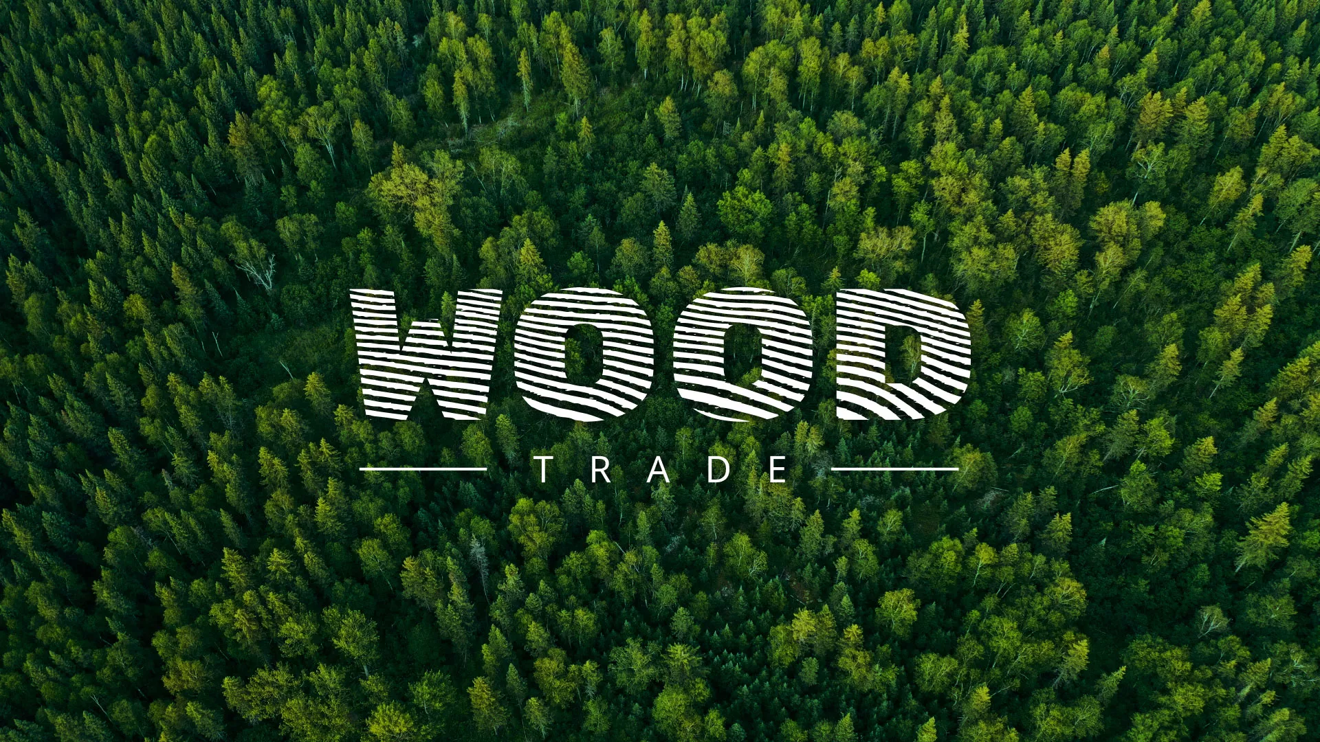 Разработка интернет-магазина компании «Wood Trade» в Кандалакше